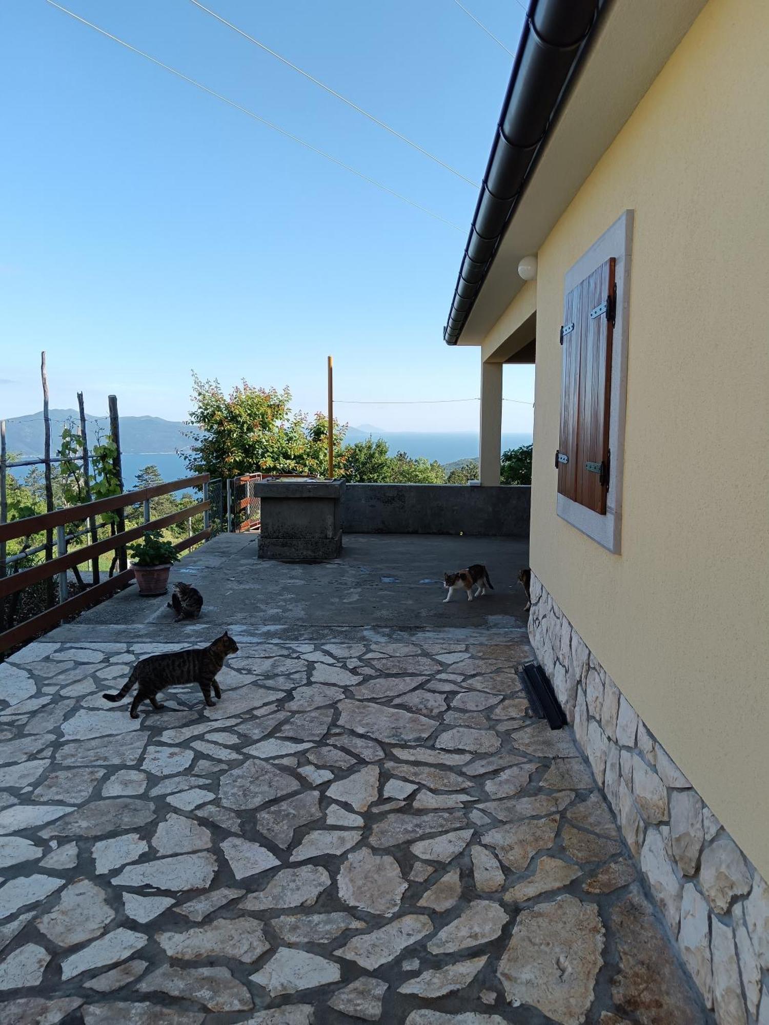 Vacation Home Marinici Мощеницька Драга Екстер'єр фото